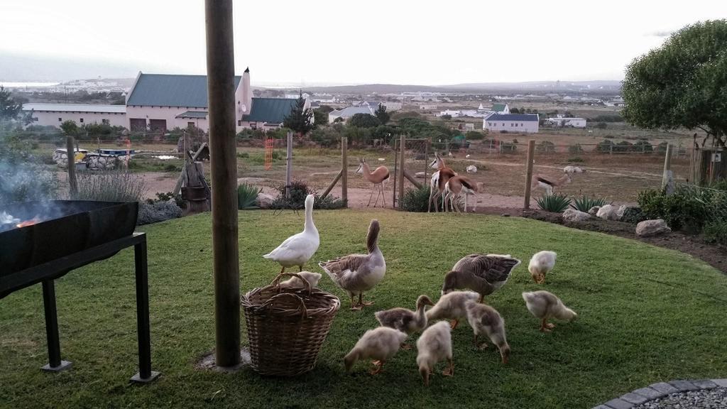 The Stables Accommodation Langebaan Camera foto