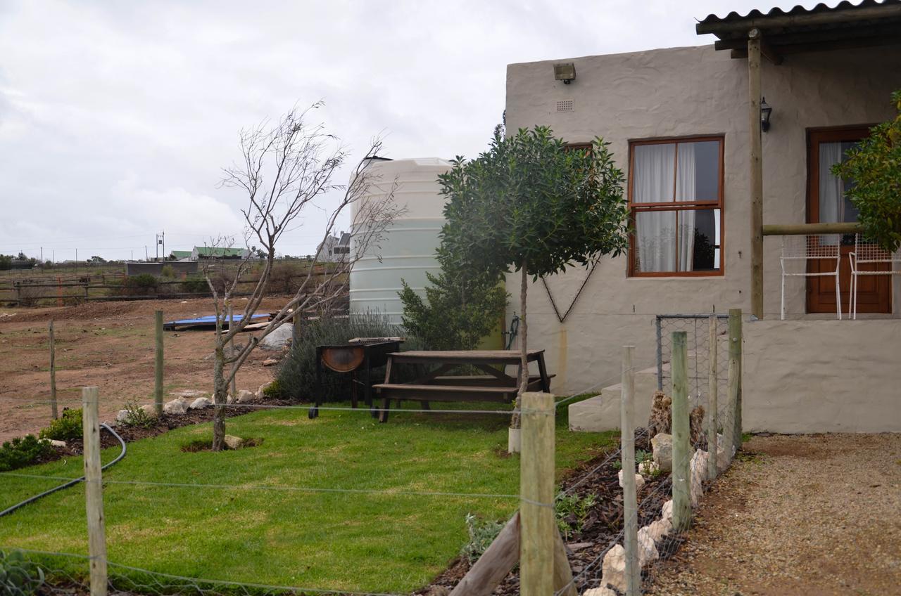 The Stables Accommodation Langebaan Esterno foto